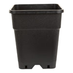 11L Square Pot