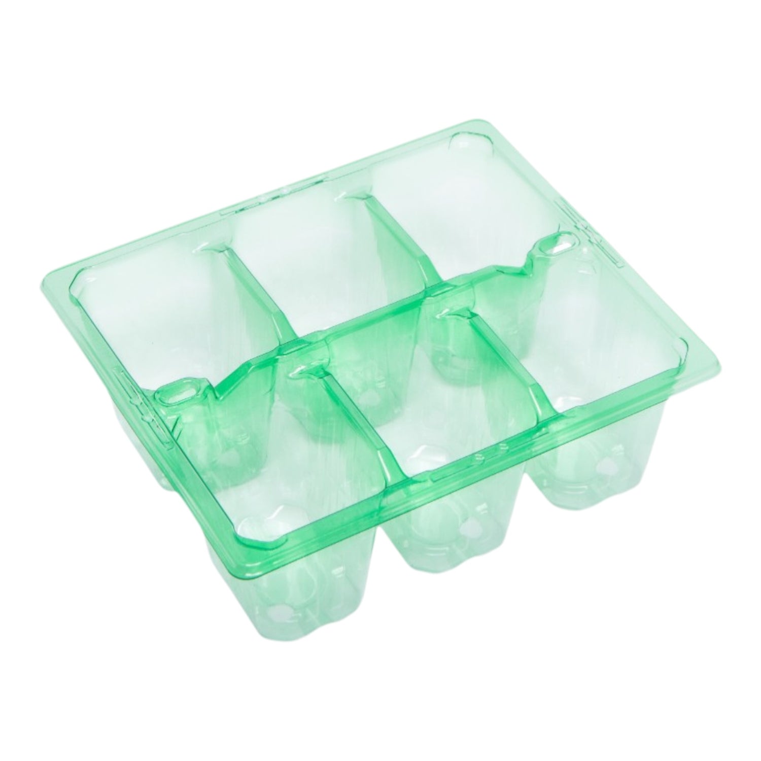 MODIFORM UBP thermoformed PET 6 pack GREEN (Case of 450 / 40 cases per pallet)