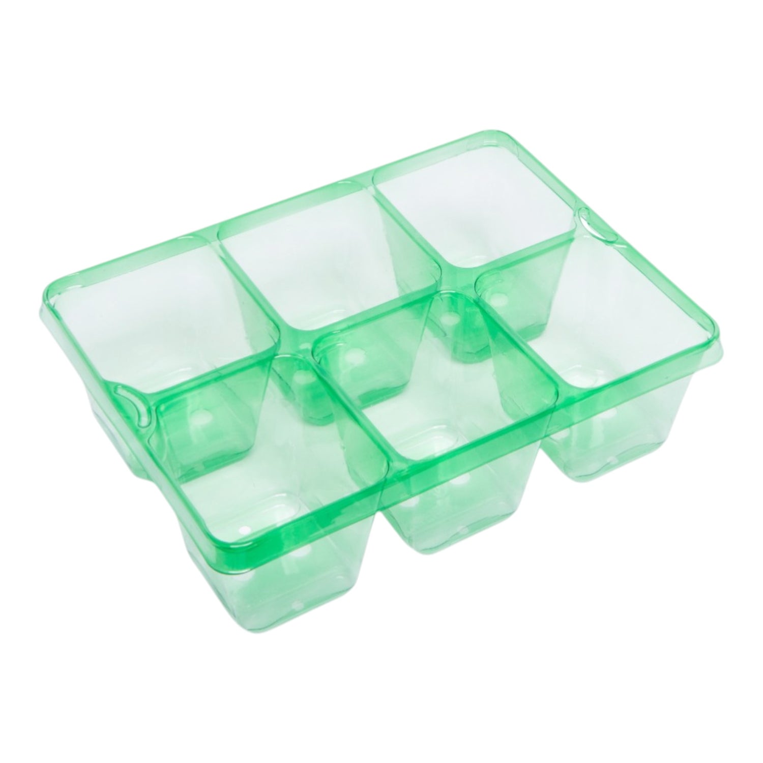 MODIFORM 12 per shelf thermoformed PET 6 pack GREEN (4200 per pallet/ Min order 1 Case of 400)