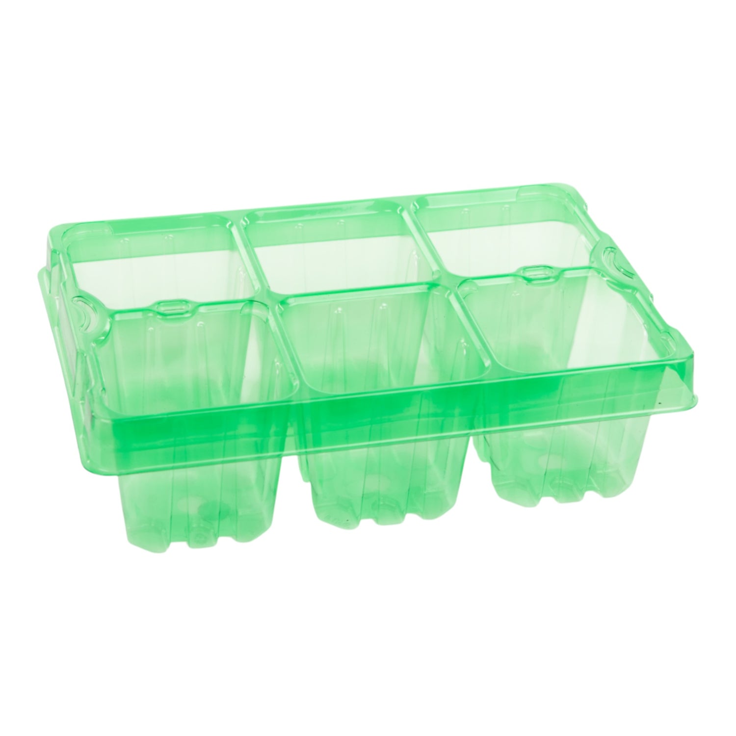 AEROPLAS 6 Cells GC Bedding Packs Jumbo 6 RPET Green (4260 per pallet) ORDER ONLY