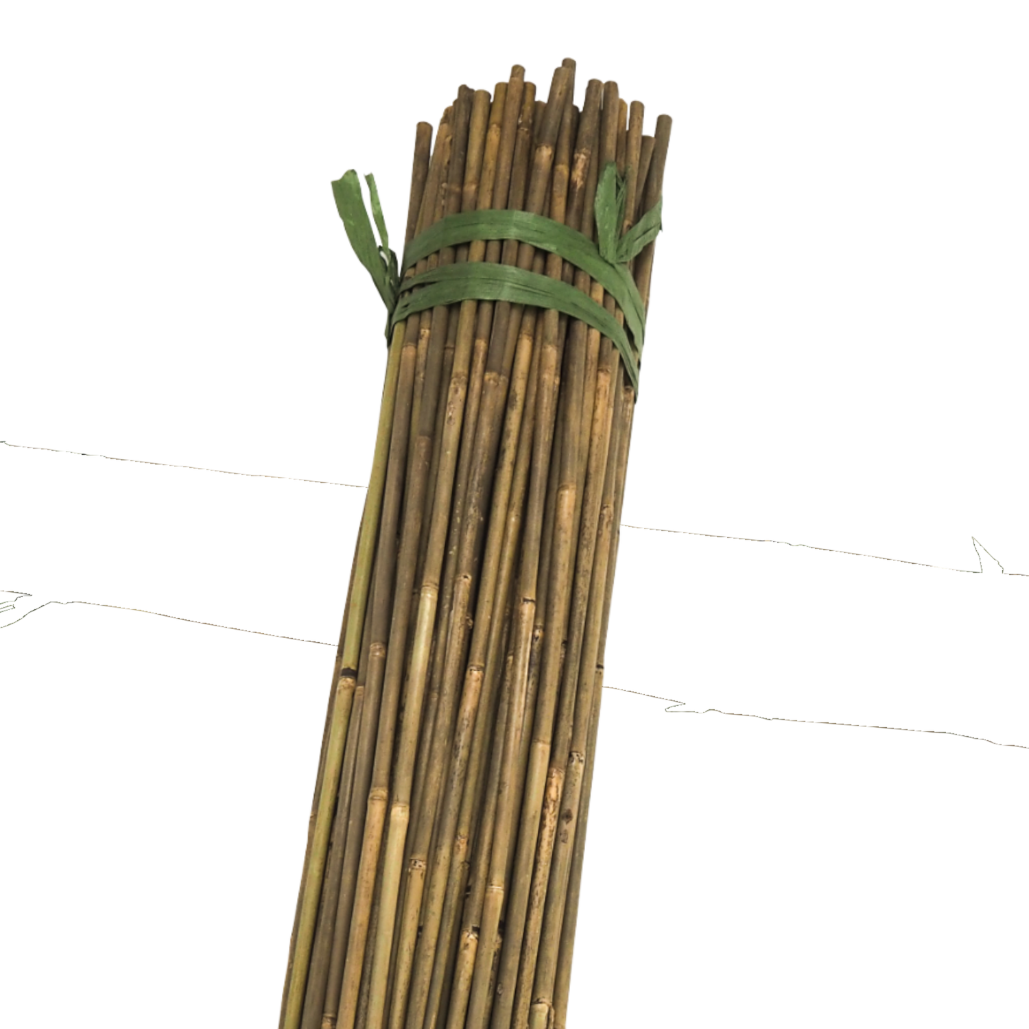 Extra Strong Bamboo Canes 8' 14-16mm Bale of 150