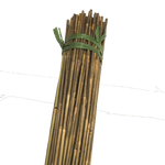 Extra Strong Bamboo Canes 8' 14-16mm Bale of 150