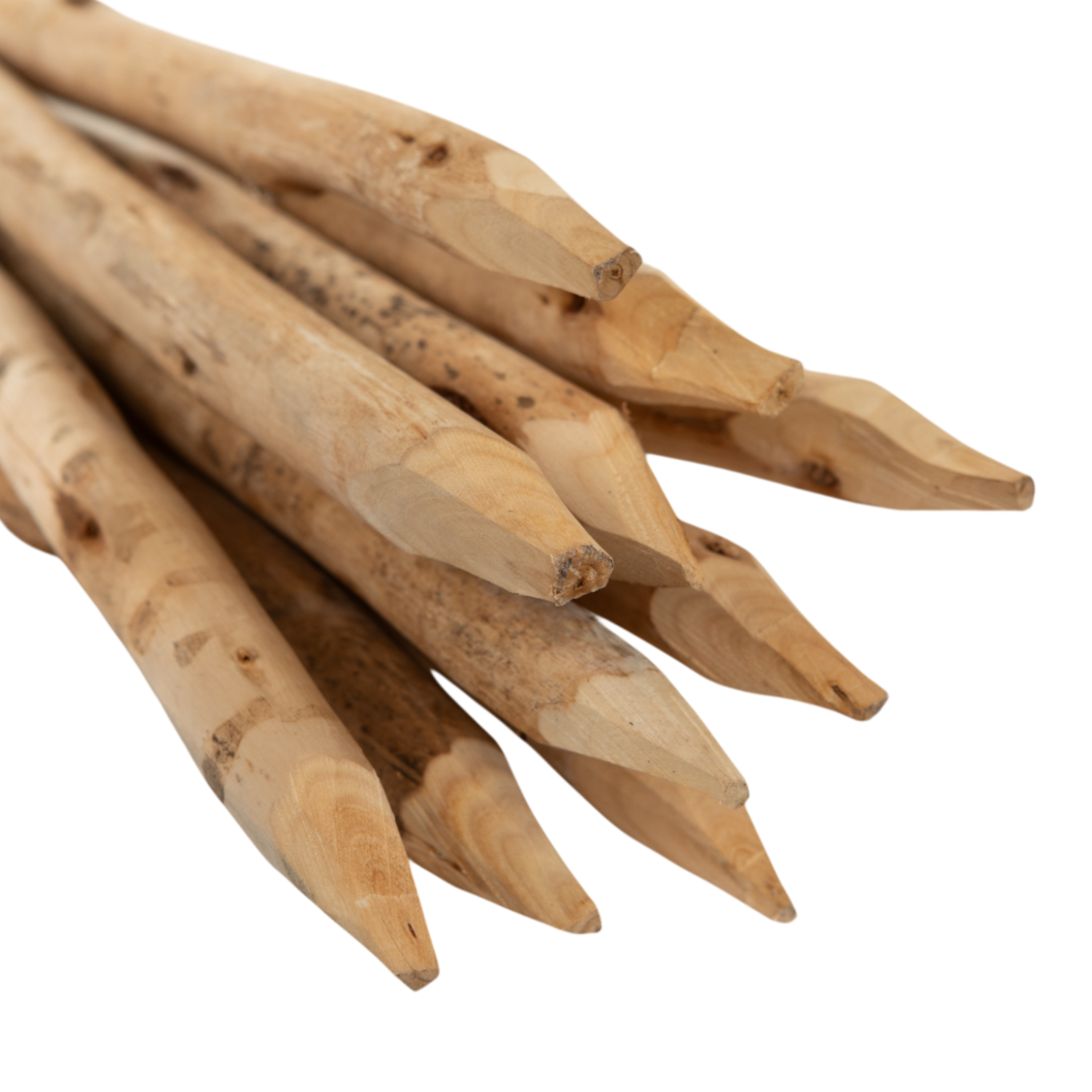 Hardwood Tree Stakes 75cm x 22-30mm (pack of 25)