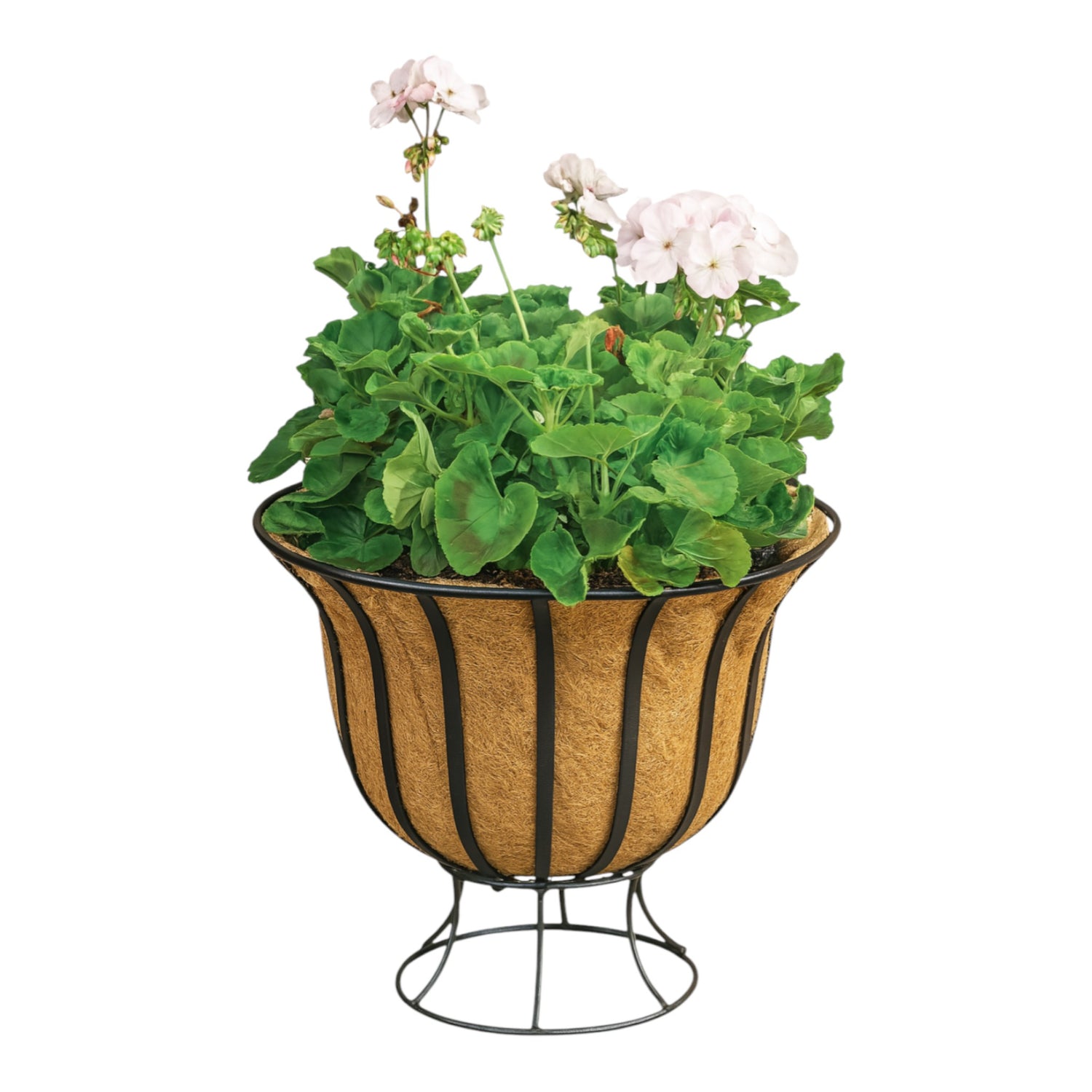 GROWERS OWN Belgravia Metal Floor Planter 35cm x 47cm