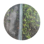 Insect Netting 2m x 100m 65gsm