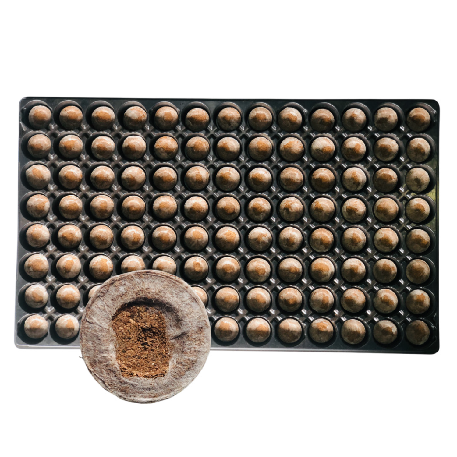 Jiffy Propagation Tray with Pellets 33mm 104 Cell