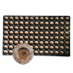 Jiffy Propagation Tray with Pellets 33mm 104 Cell