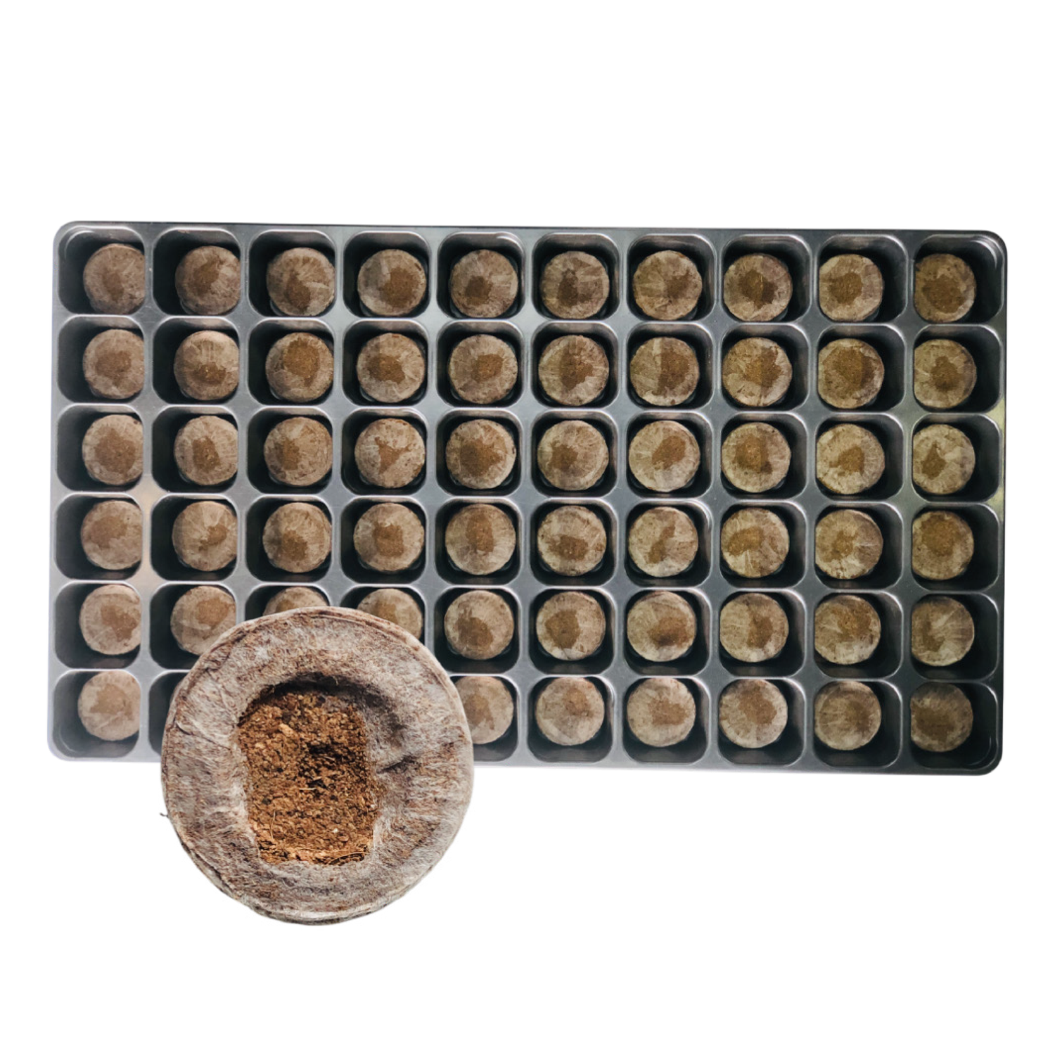 Jiffy Propagation Tray with Pellets 38mm-41mm 60 Cell