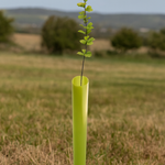 Rainbow Bio Wrap Tree and Hedge Guards 50 - 60cm length (Box of 200)
