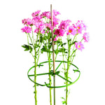Plant Ring 15cm 6" Diameter Green (Box of 250)
