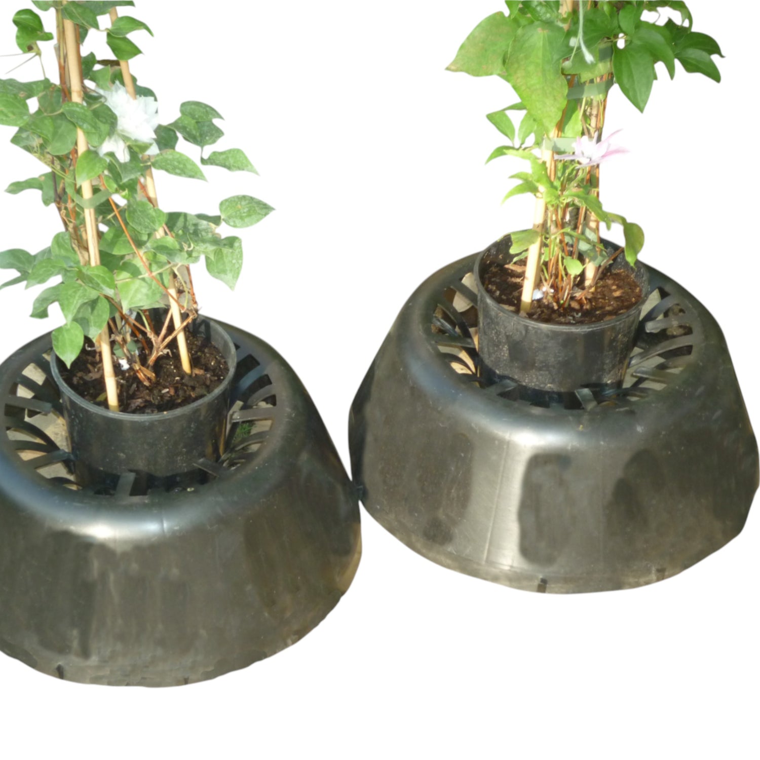 Pot Support Base for 2-8 Litre Pots (Box of 25)