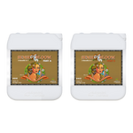 Advanced Nutrients pH Perfect Sensi Coco Bloom A+B – 5L