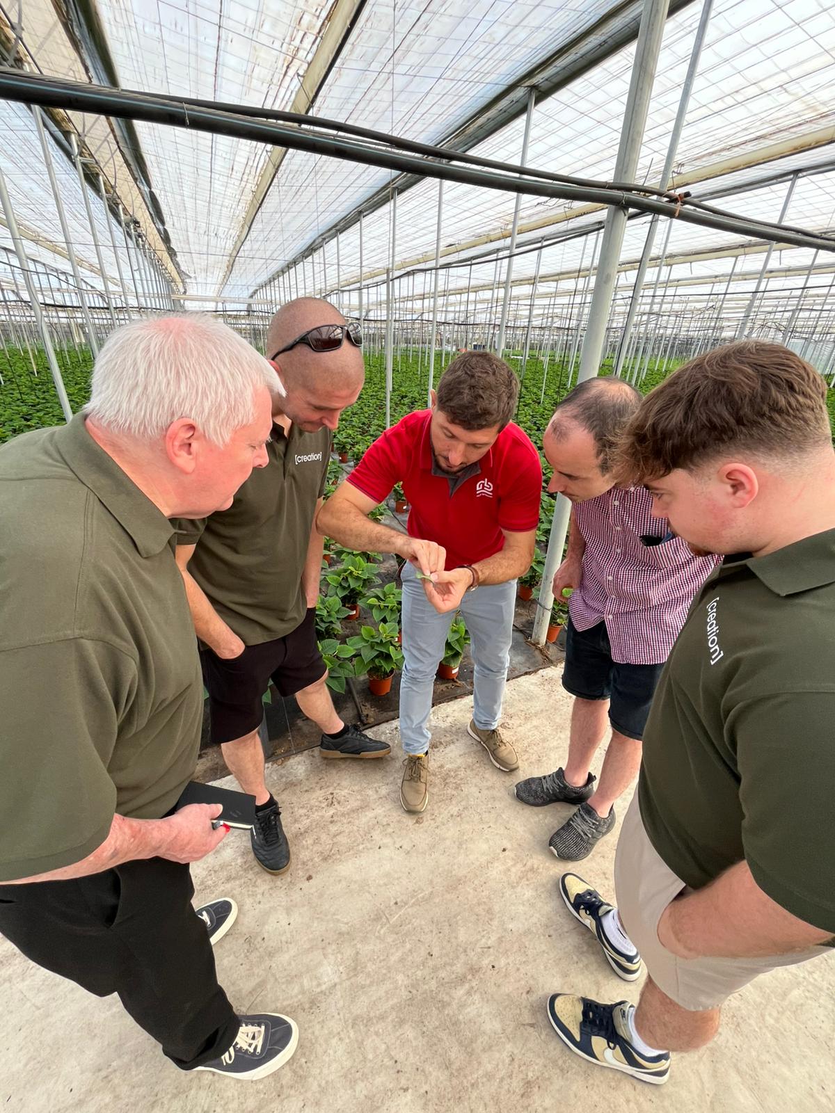 On the Ground in Almería: Behind the Scenes with AgroBio and the Future of Biological Pest Control