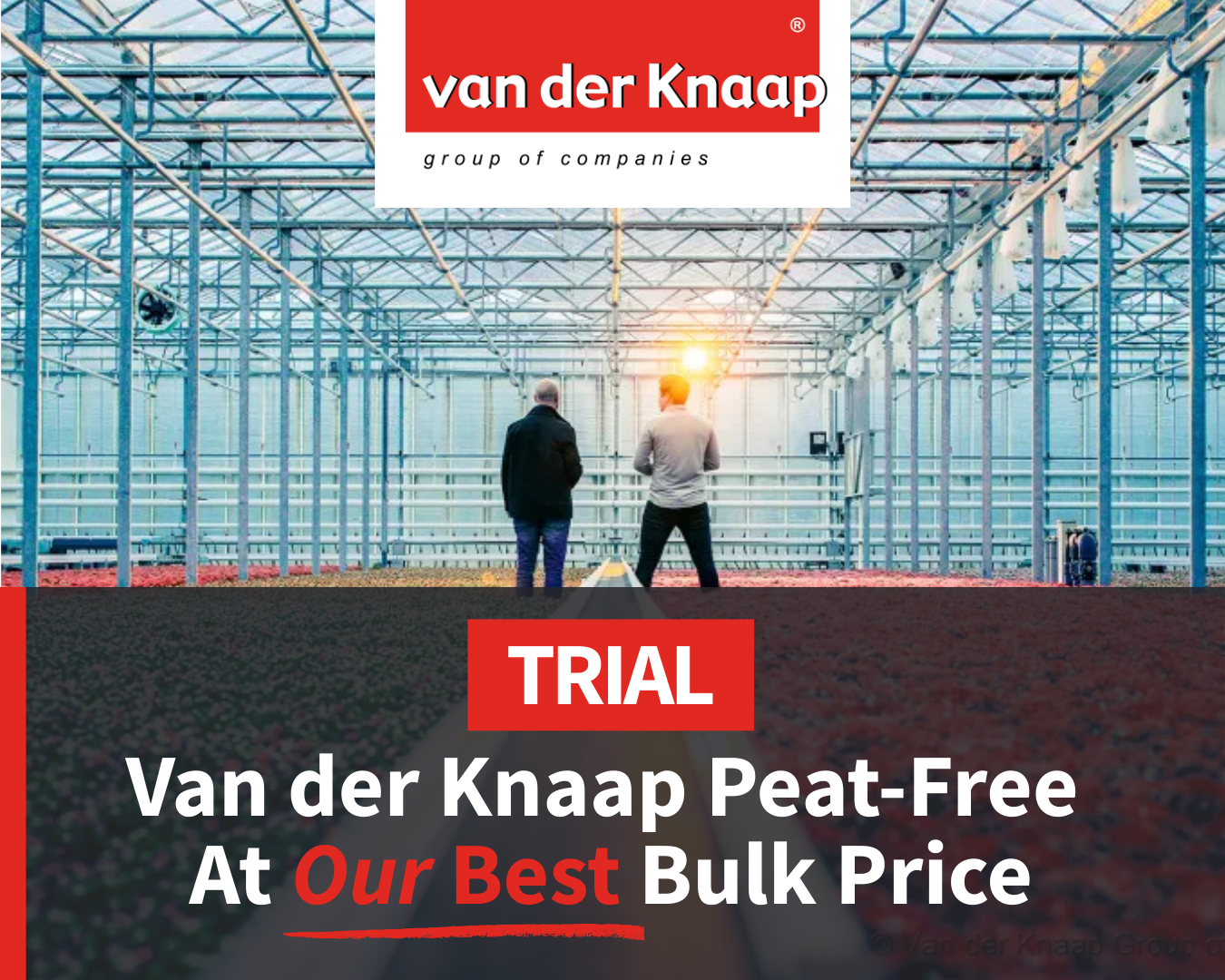 Why More Growers Are Moving Away from Peat — and How Van der Knaap Is Getting It Right