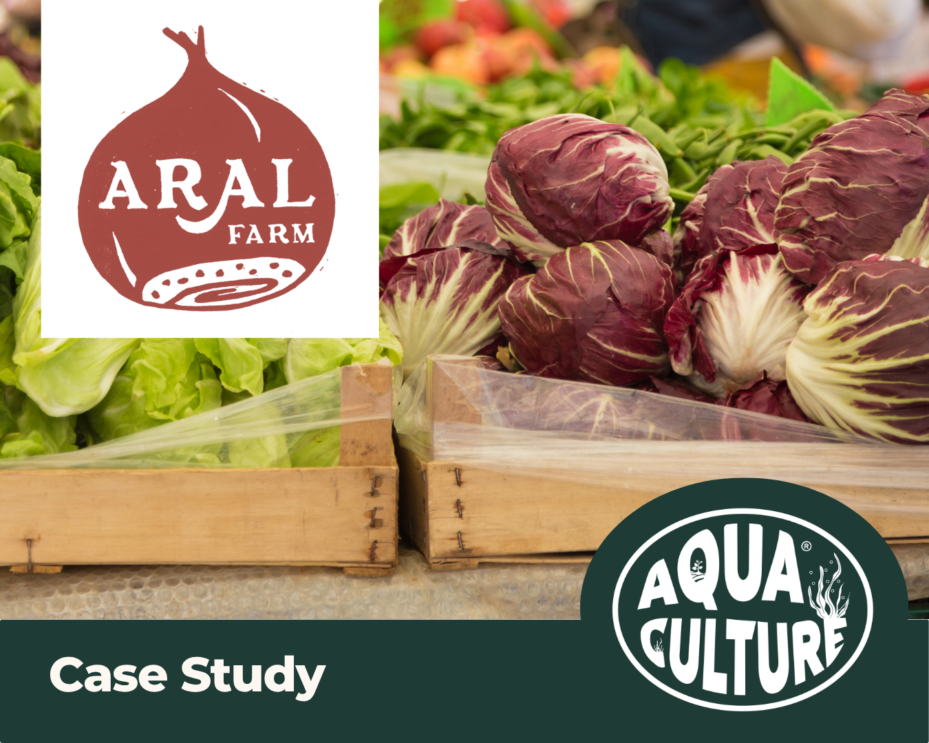 How Aqua Culture Supported Soil Biology and Pasture Performance at Aral Farm