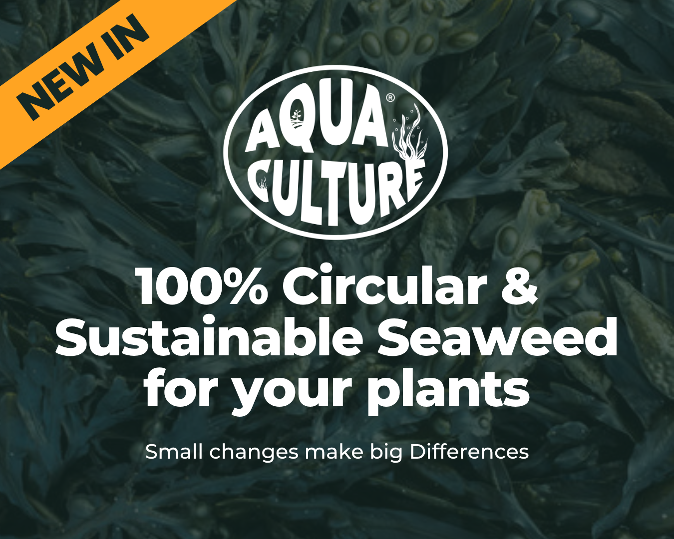 NEW IN: Aqua Culture: Sustainable Seaweed Power for Healthier Plants