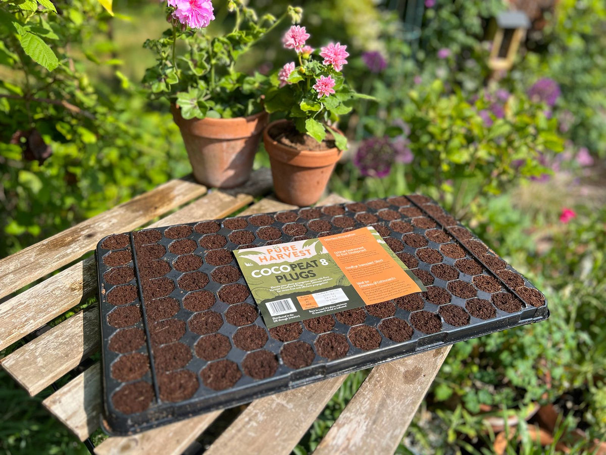 Pure Harvest 🥥 COCOPEAT 8 Plugs + COCO Bricks 🌴 BACK IN STOCK!