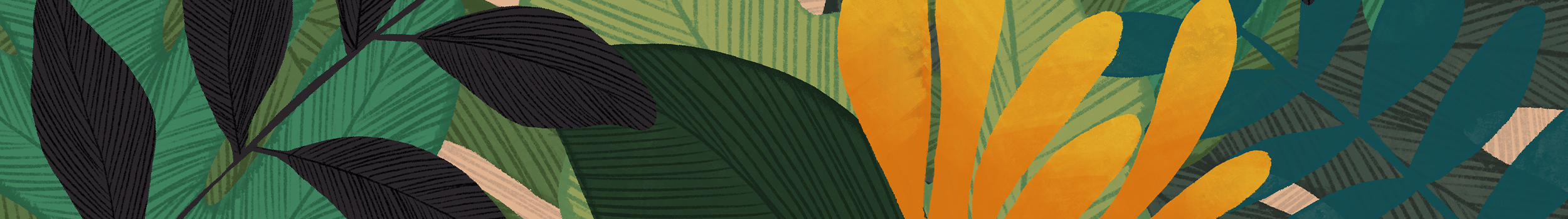 P&R Horticulture