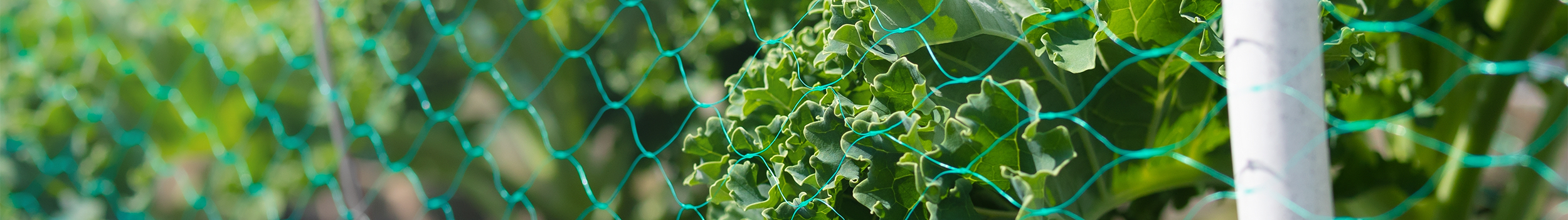 Weed Control Fabric
