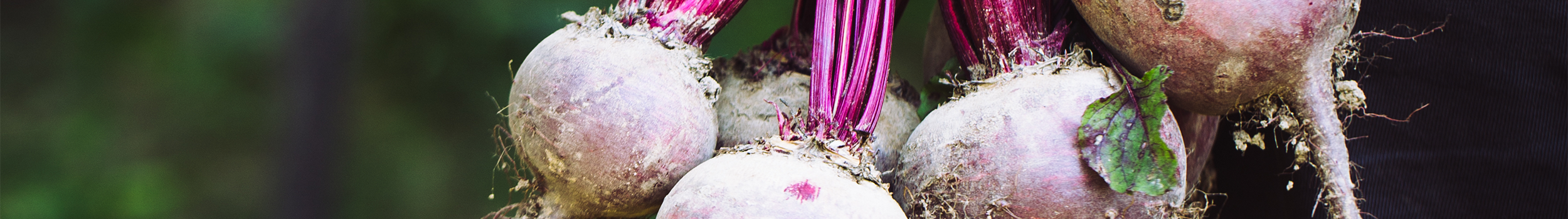 Plant Nutrition
