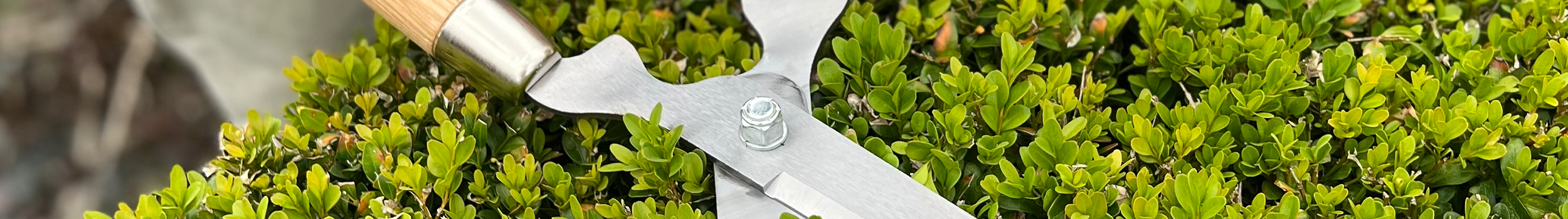 Gardening Knives