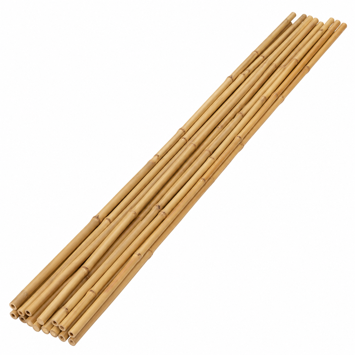 Growers Own Bamboo Canes 90cm x 8-10mm - Pack of 10 Plant Support Canes