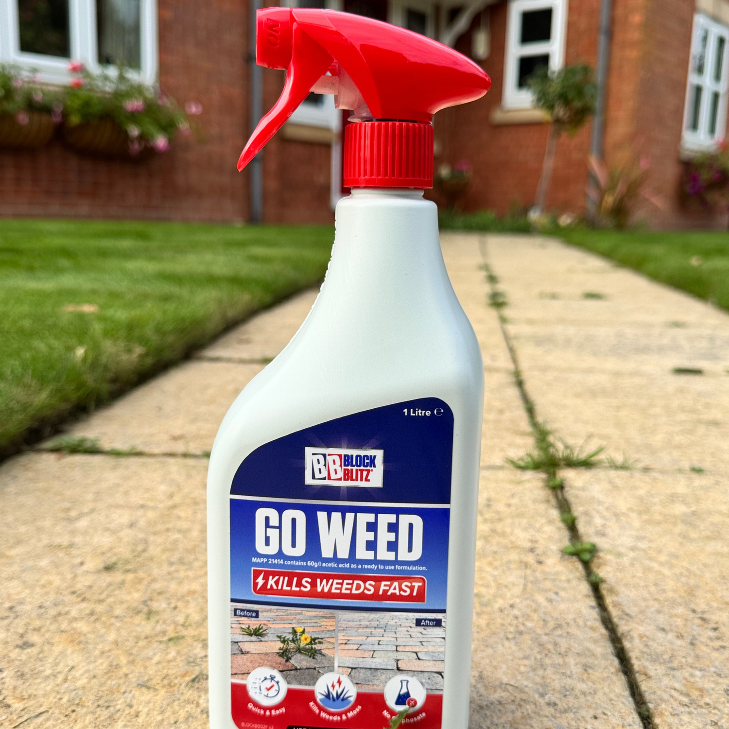 BLOCK BLITZ  Go Weed 1L (6 per box)