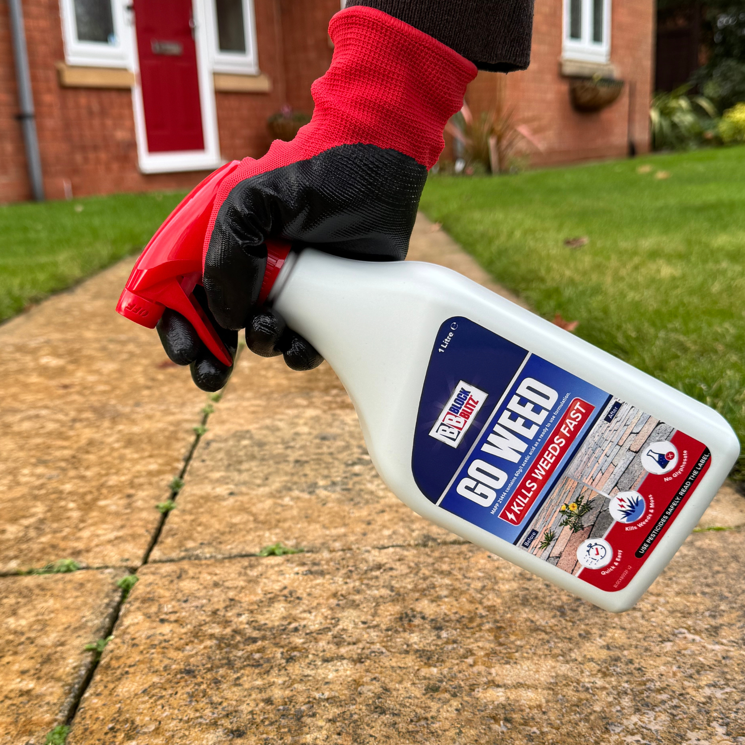 BLOCK BLITZ  Go Weed 1L (6 per box)