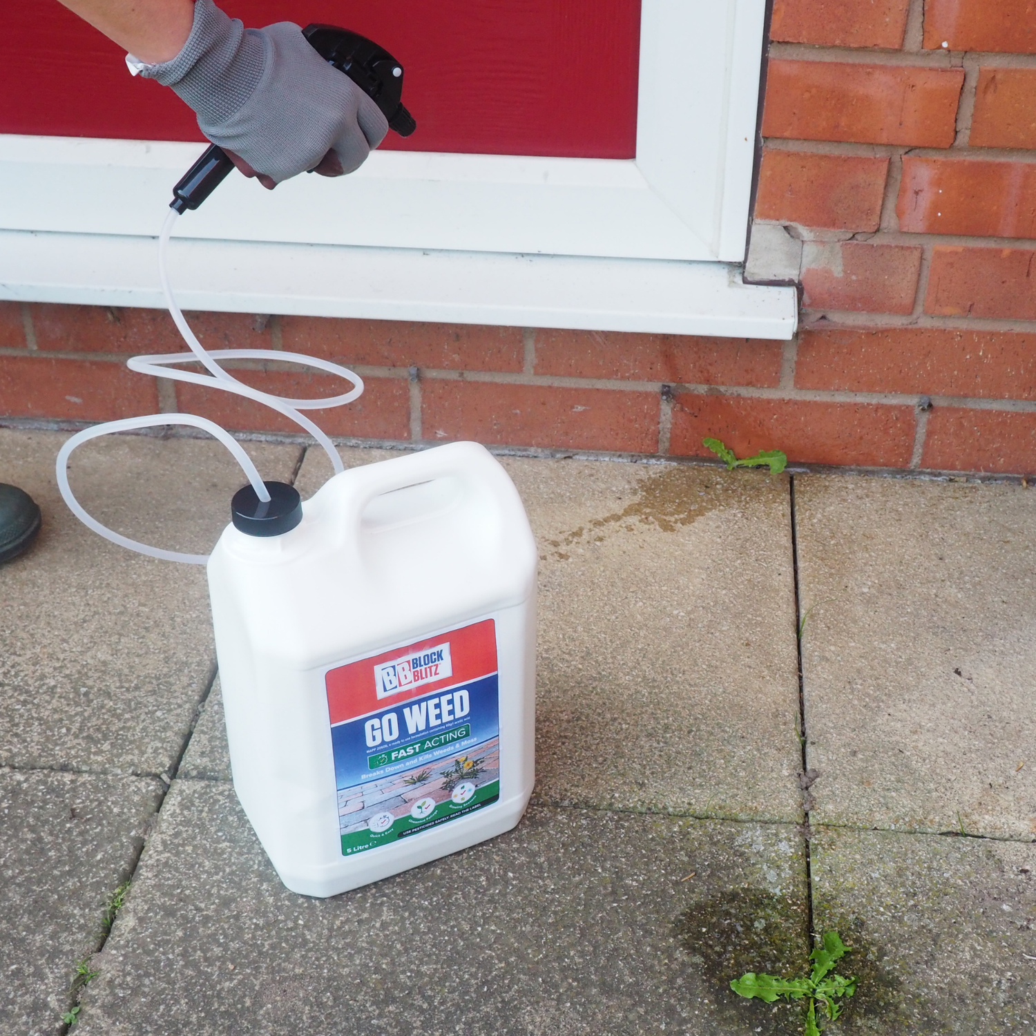 BLOCK BLITZ  Go Weed 5L (3 per box)