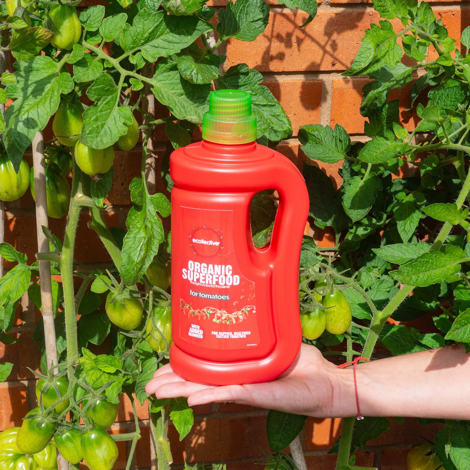 Tomatoes Organic Superfood 800ml (6 per box)