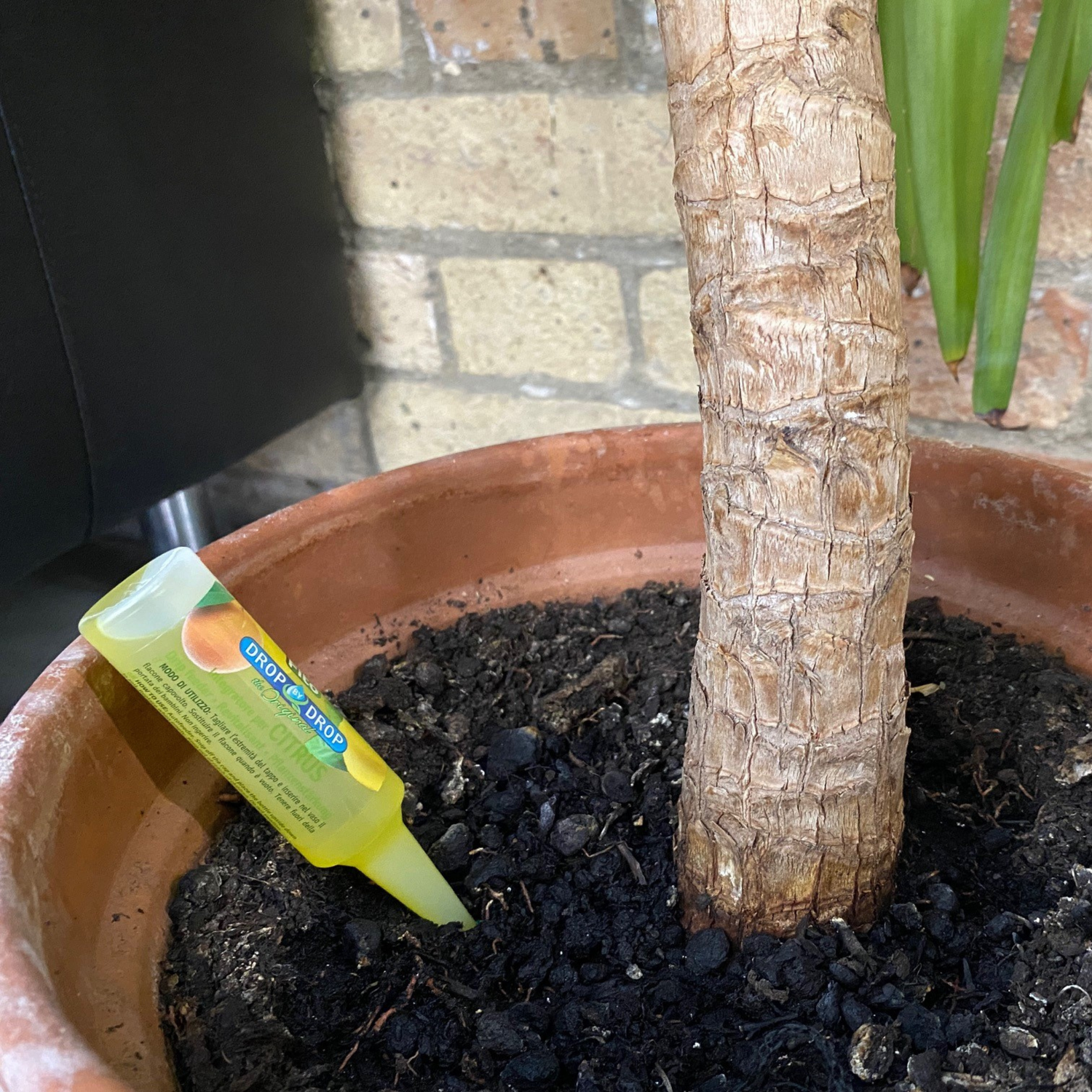 FITO Citrus Drip Feeders 1x32 ml (80 per box)