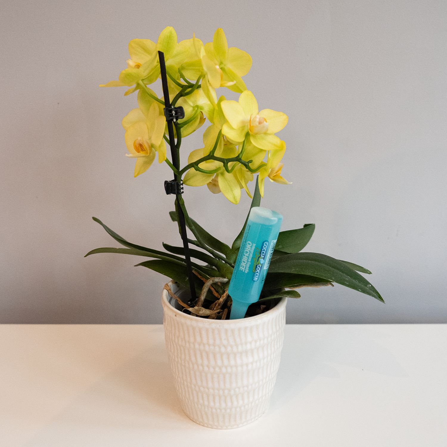 FITO Orchid Drip Feeders 5x32ml (12 per box)