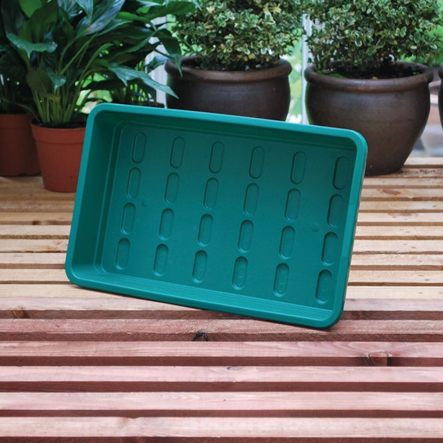 GARLAND Midi Garden Tray Green Without Holes (25 per box)