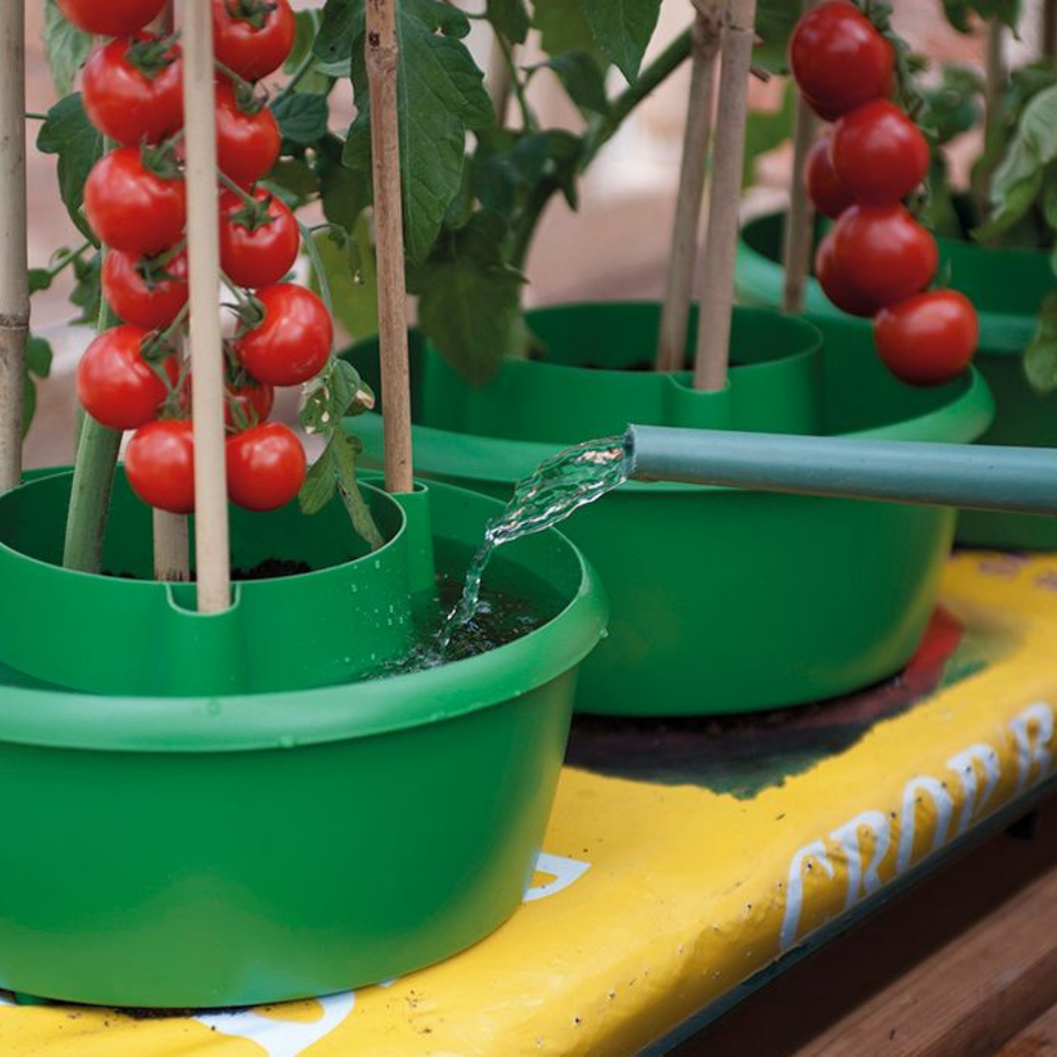 GARLAND Plant Halos Green - Set of 3 (4 per box)