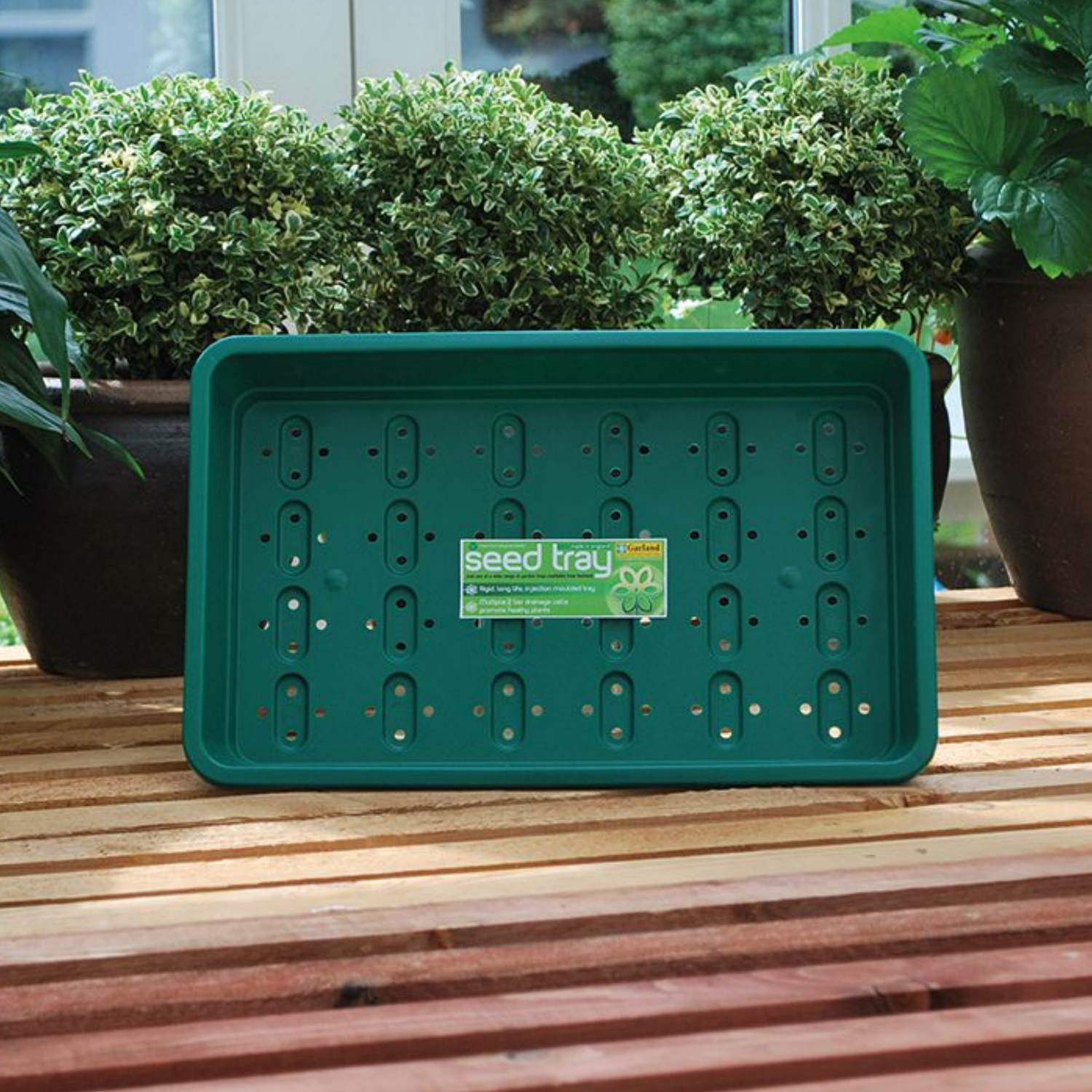 GARLAND Standard Seed Tray Green With Holes (25 per box)
