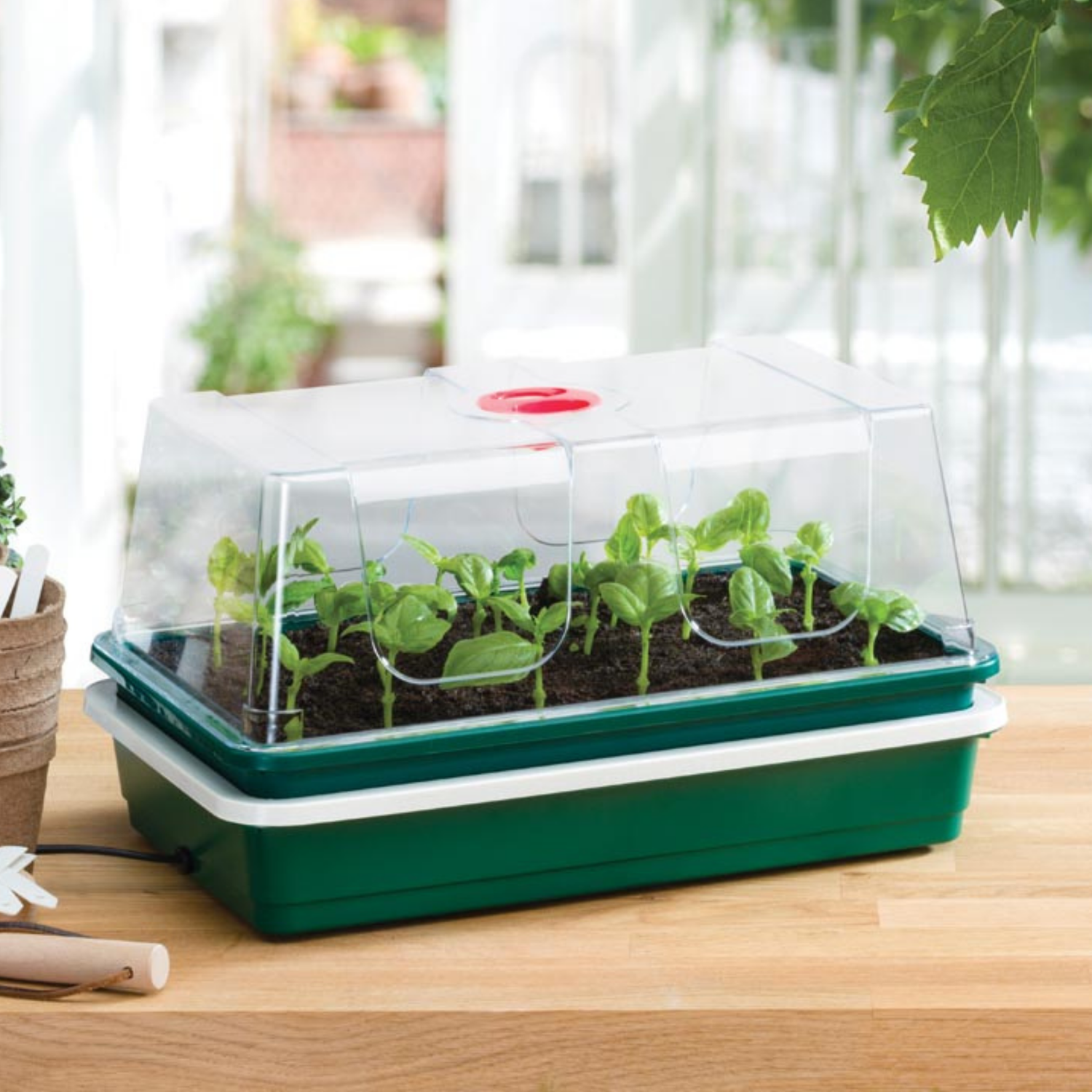GARLAND One Top Electric Propagator