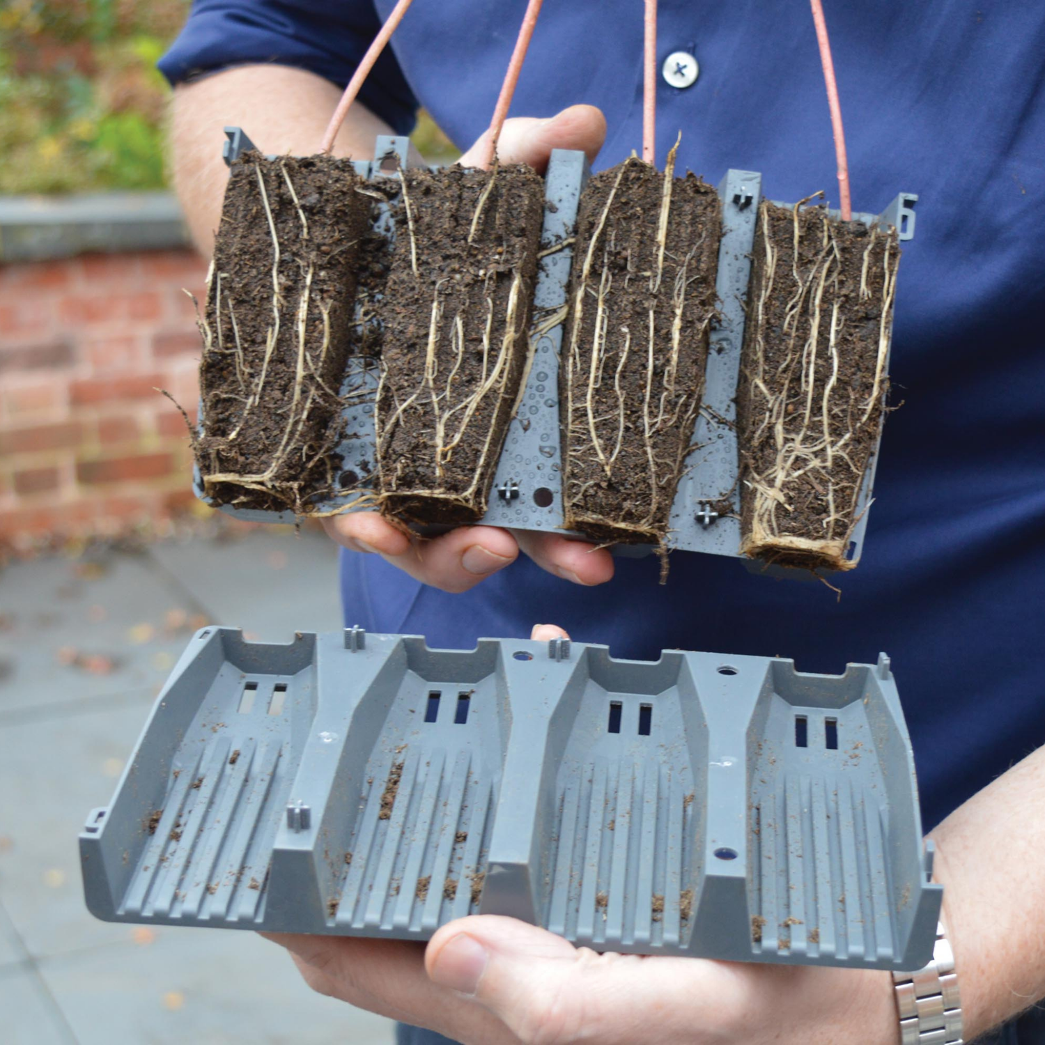 GARLAND 28 Cell Deep Root Success Kit (4 per box)