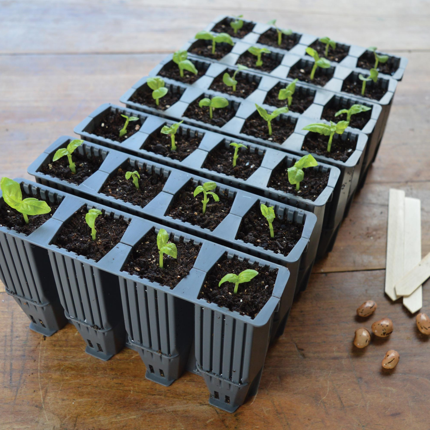 GARLAND 28 Cell Deep Root Success Kit (4 per box)