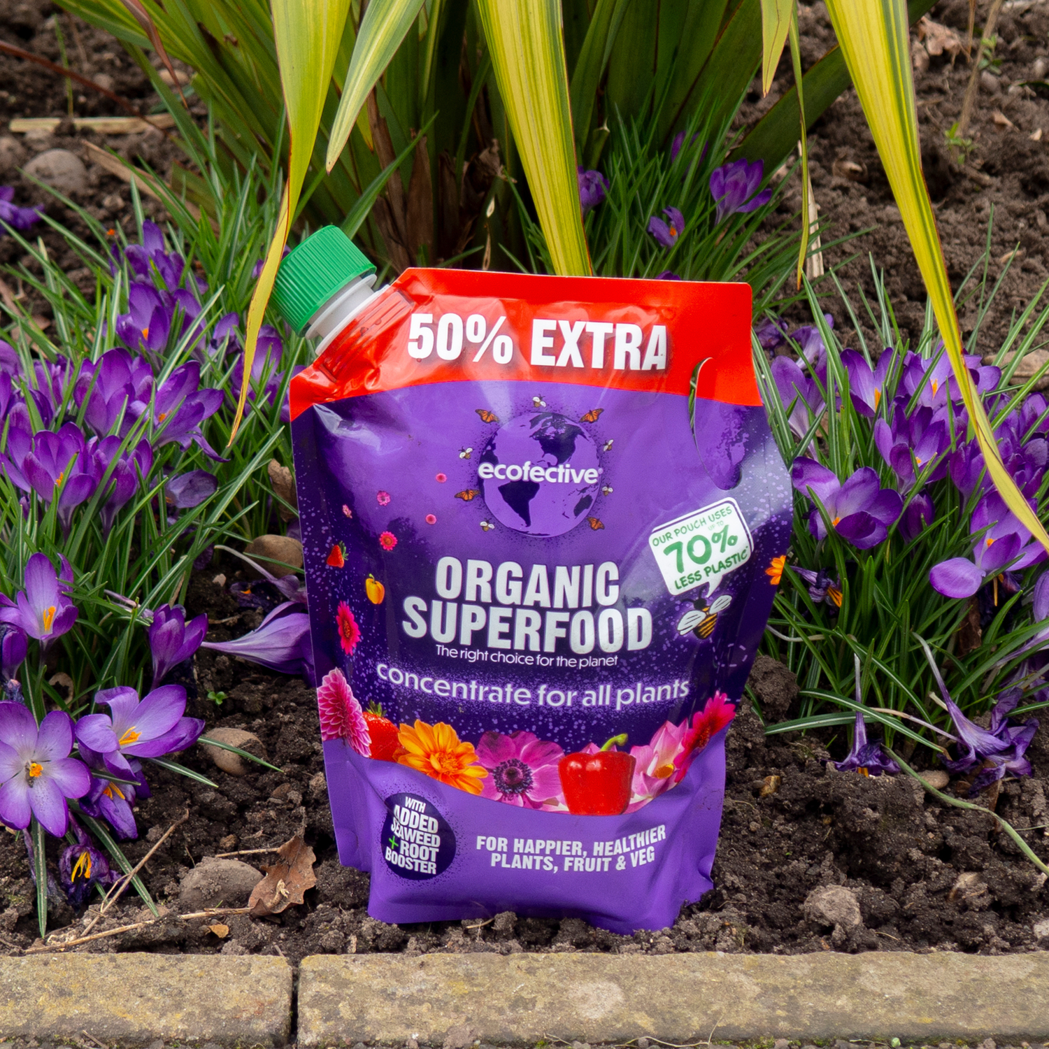 All Plants Organic Superfood 50% extra free 1.2L (6 per box)