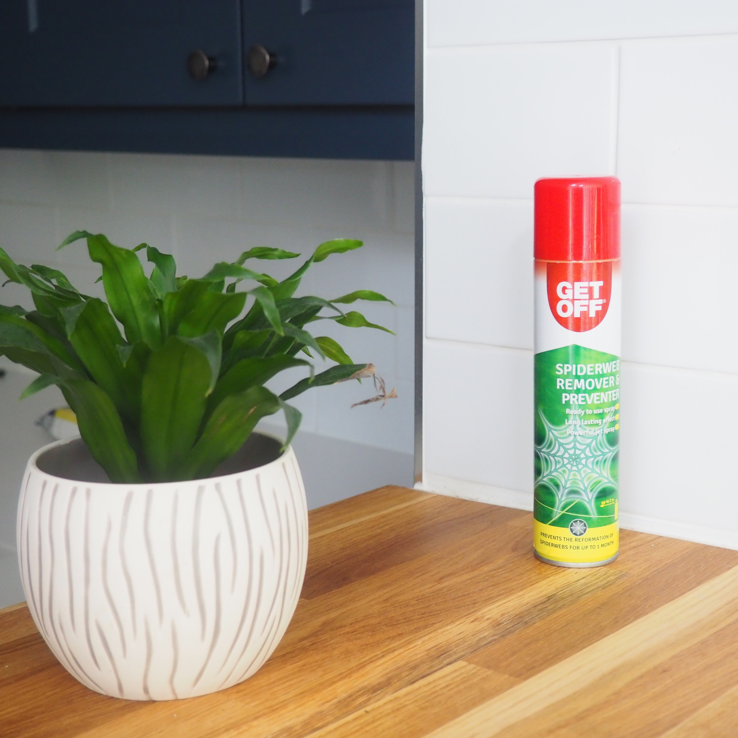 GET OFF Spiderweb Remover and Preventer 300ml (12 per box)