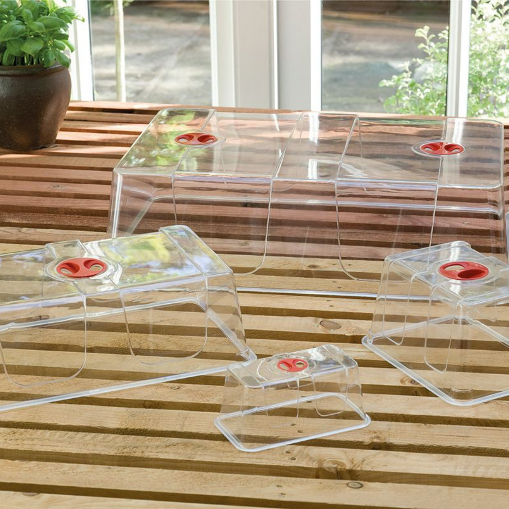 Garland High Dome Propagator Lids Wholesale Garden Supplies UK