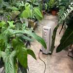 Hot Stuff Oil Filled Radiator 2000W Wholesale Garden Supplies