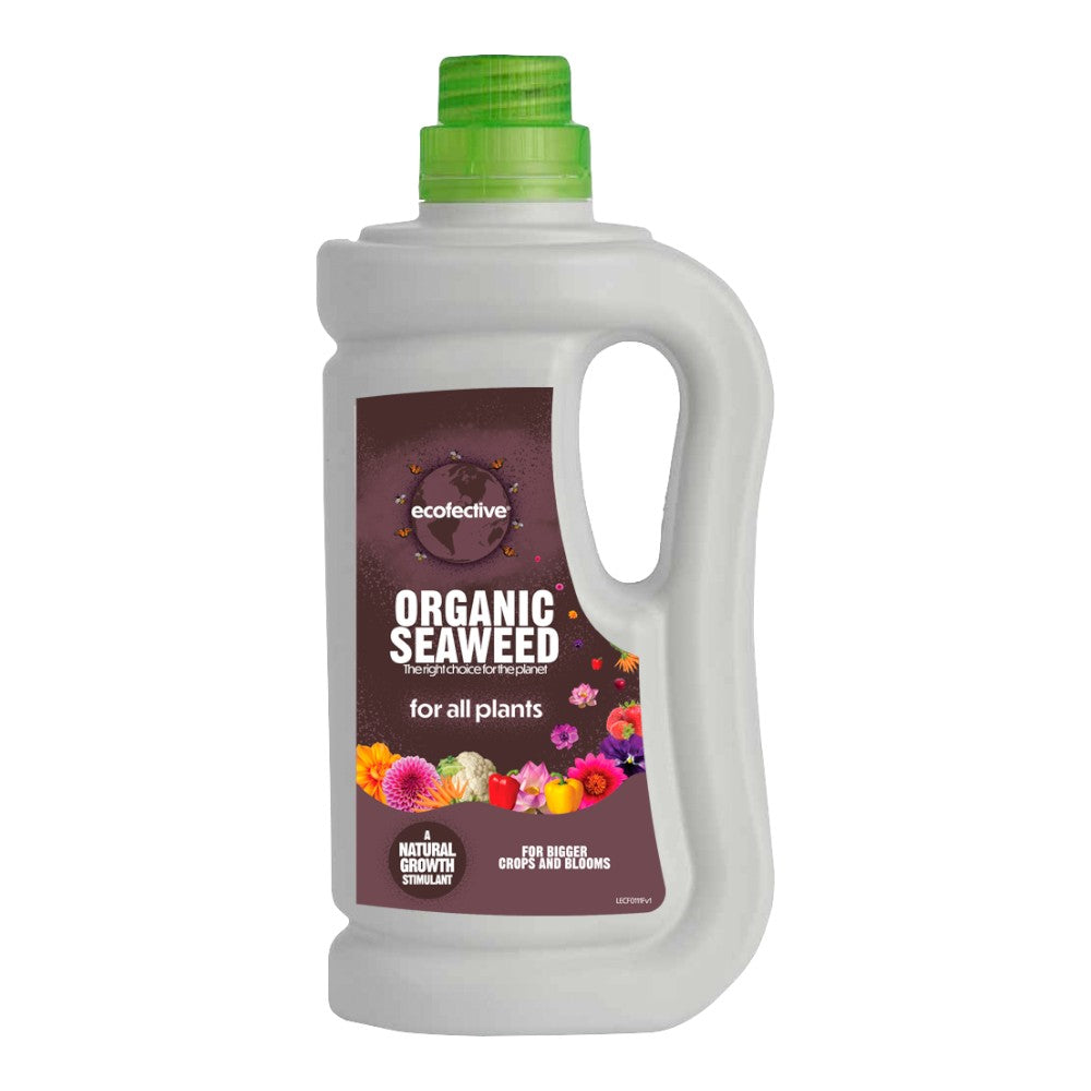 Organic Seaweed 800ml (6 per box)