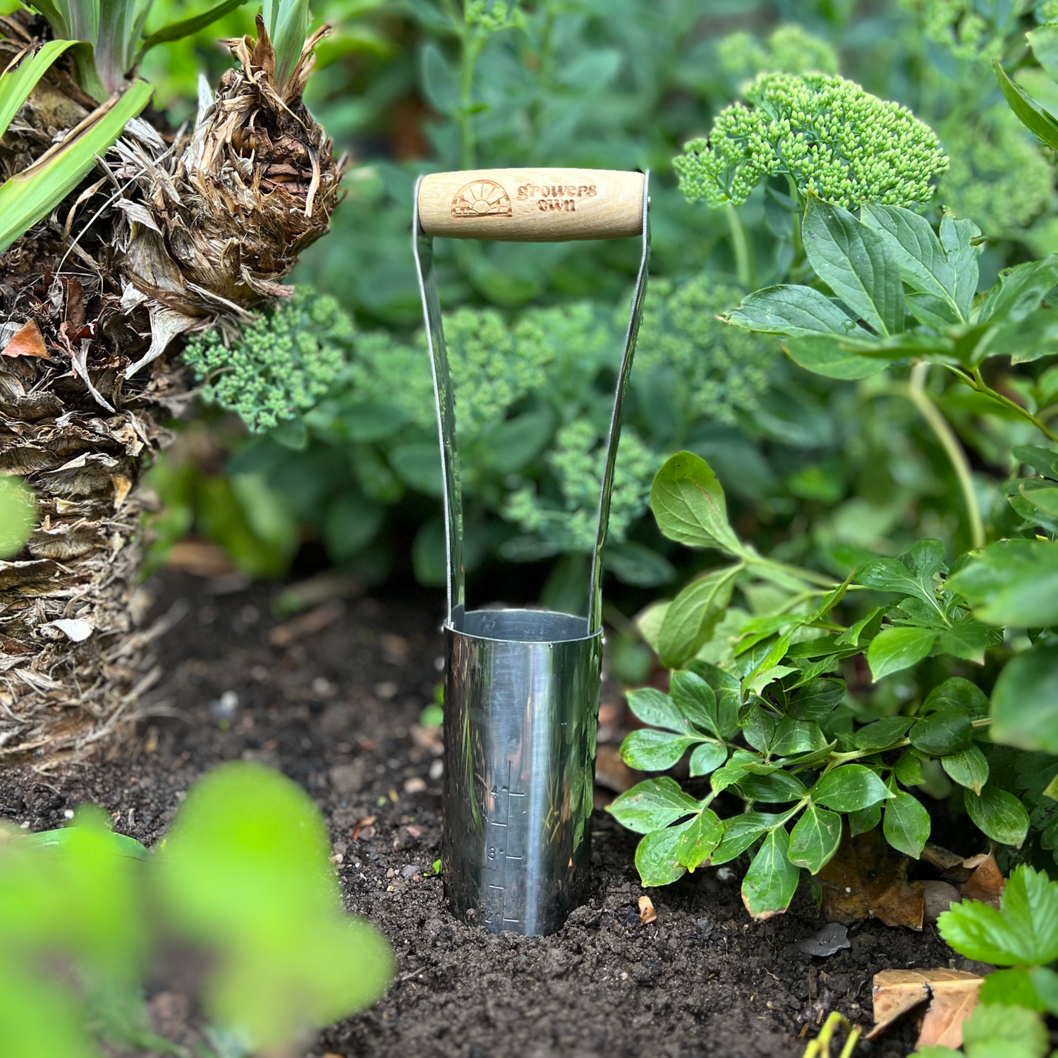 Growers Own Stainless Steel Bulb Planter w/ Ashwood Handle