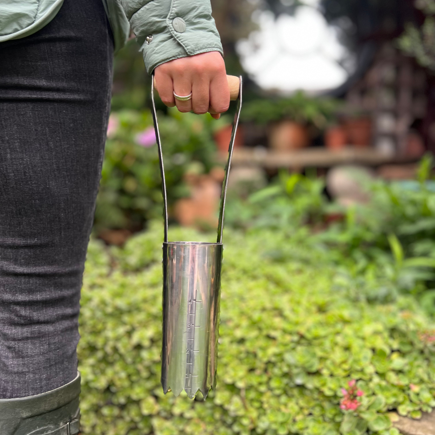 Growers Own Stainless Steel Bulb Planter w/ Ashwood Handle
