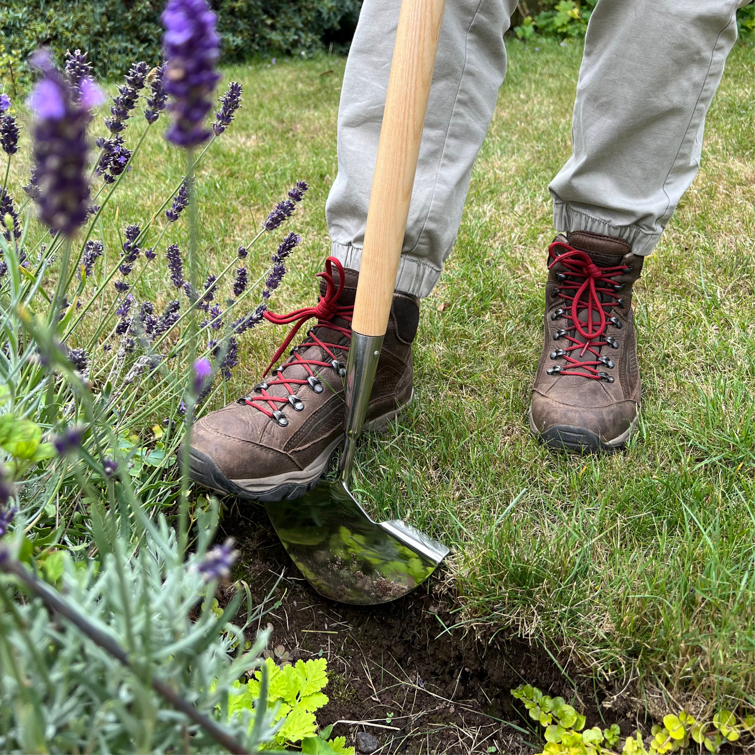 Growers Own Stainless Steel Lawn Edger w/Ashwood Handle