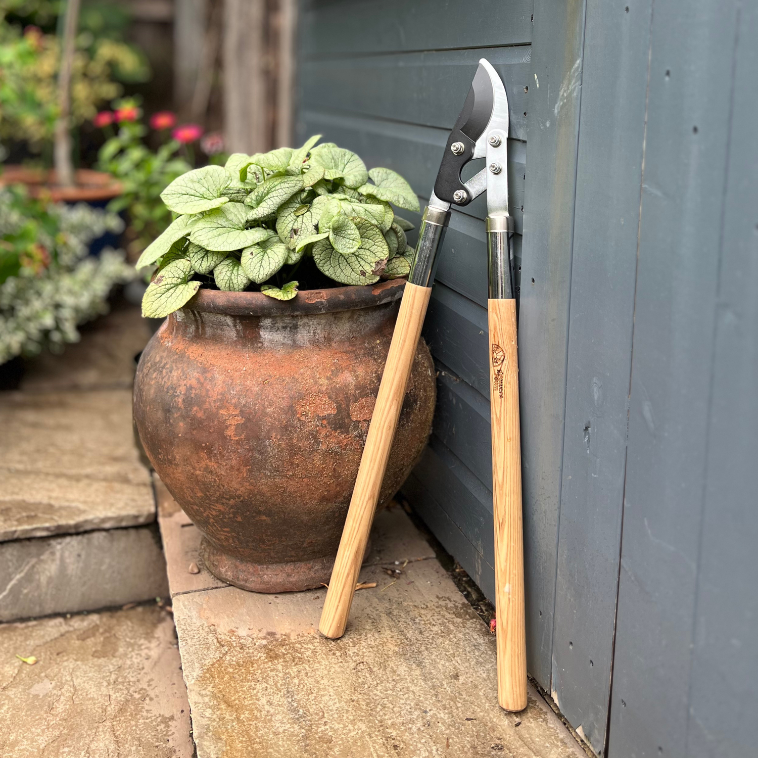Growers Own Stainless Steel Bypass Lopper w/ Ashwood Handle
