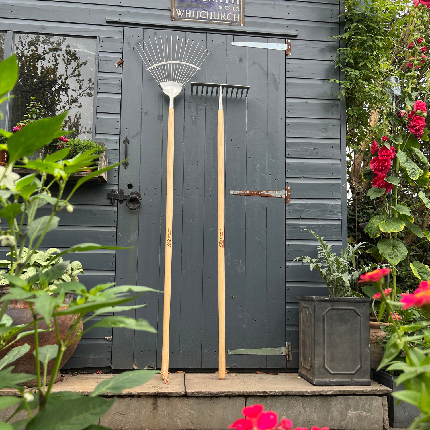 Growers Own Stainless Steel Border Rake w/ Ashwood Handle