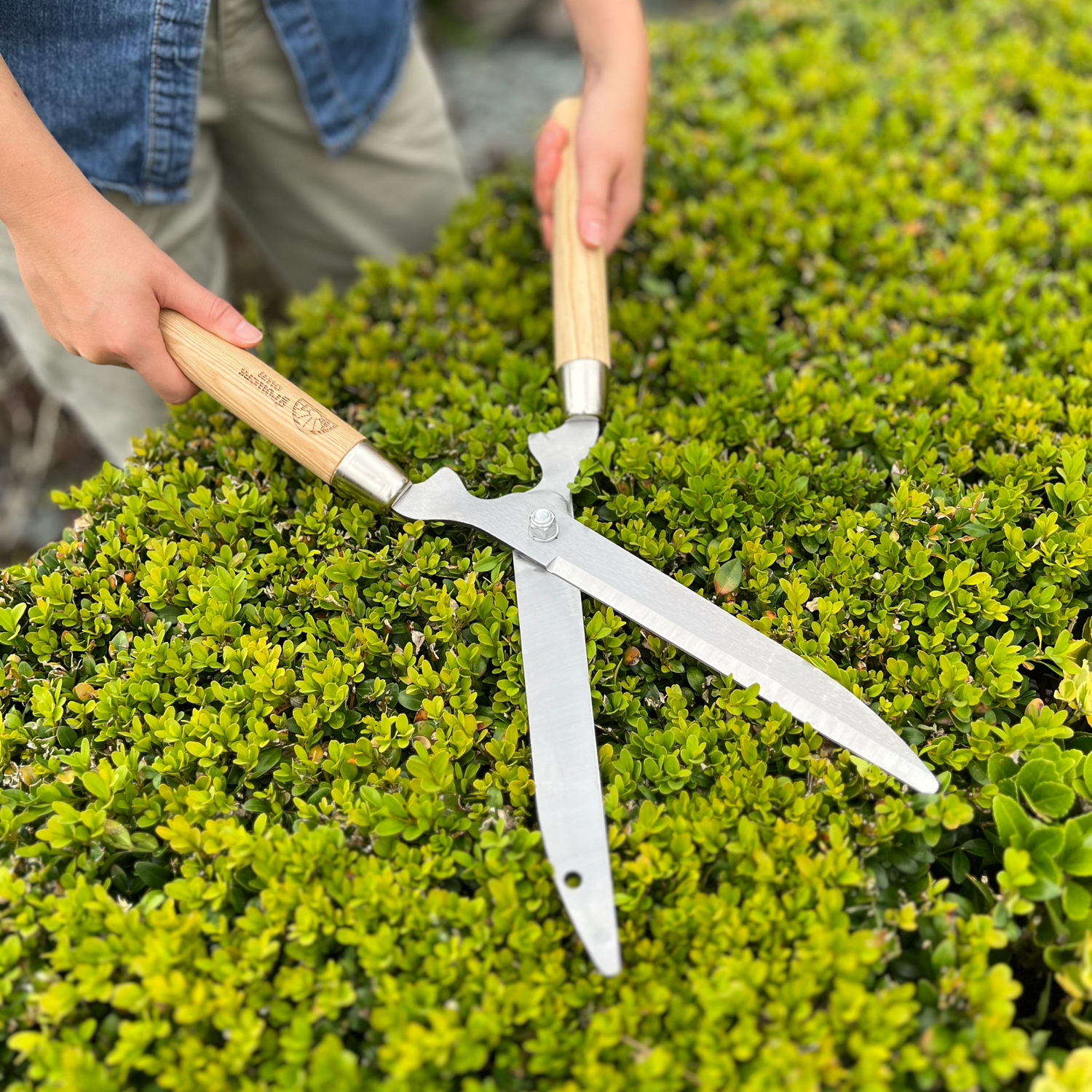 Growers Own Stainless Steel Hedge Shears w/ Ashwood Handle
