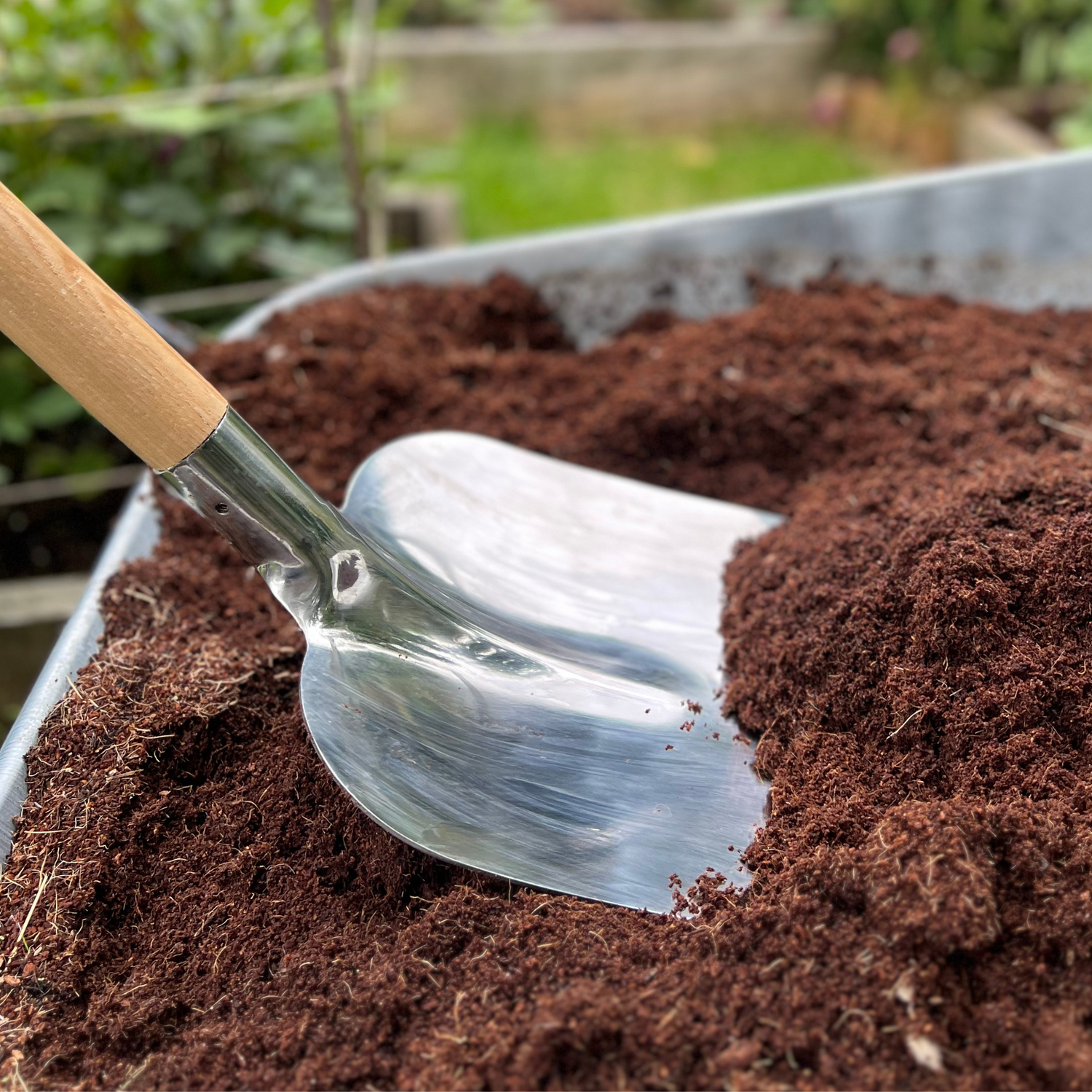 Growers Own Stainless Steel Shovel w/ Ashwood T-Handle